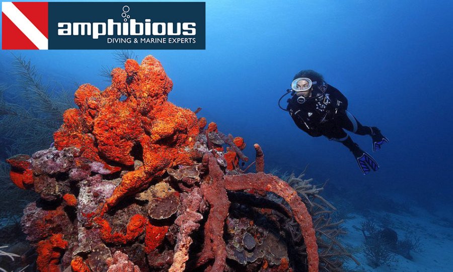 amphibious, Πολλαπλές Περιοχές