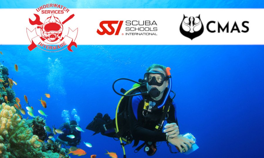 Intermare Divers, Άλιμος