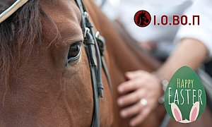 Ι.Ο.Β.Ο.Π., Βαρυμπόμπη