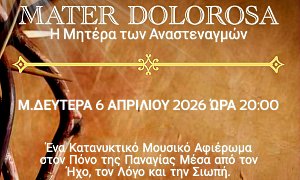 Maiandros Ensemble, Μέγαρο Μουσικής