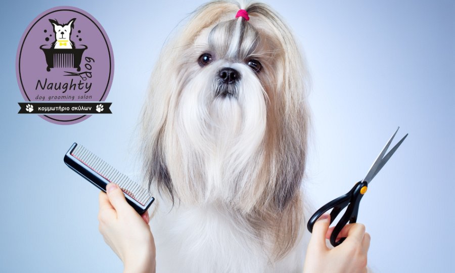 Naughty Dog, Κολωνός