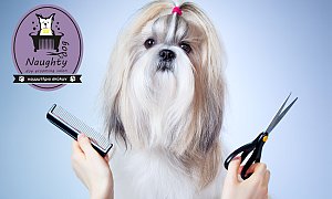 Naughty Dog, Κολωνός