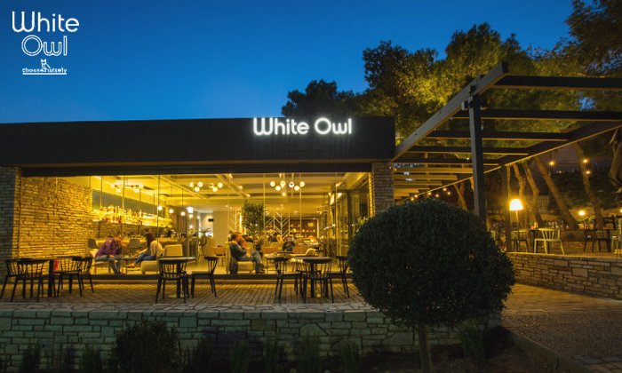 White Owl | Θρακομακεδόνες εικόνα